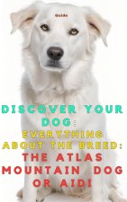 Discover your dog