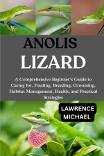 ANOLIS LIZARD