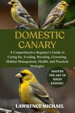 DOMESTIC CANARY