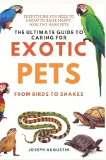 The Ultimate Guide to Caring for Exotic Pets