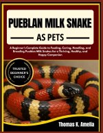 PUEBLAN MILK SNAKE AS PETS