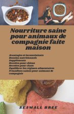 Nourriture saine pour animaux de compagnie faite maison