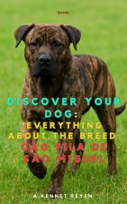 Discover your dog