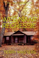 Weg naar regressie