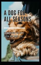 A Dog for All Seasons
