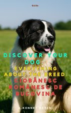 Discover your dog