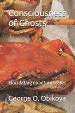 Consciousness of Ghosts