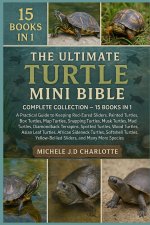 THE ULTIMATE TURTLE MINI BIBLE