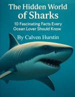 The Hidden World of Sharks
