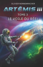 Artémis 3