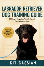 Labrador Retriever Dog Training Guide