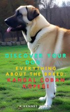 Discover your dog