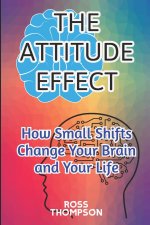 The Attitude Effect