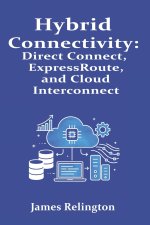 Hybrid Connectivity