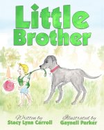 Little Brother