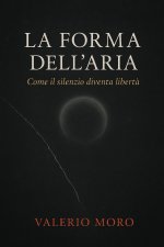LA FORMA DELL'ARIA