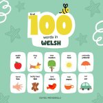 First 100 Words in Welsh, Welsh Language Learning for Kids