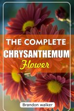 THE COMPLETE CHRYSANTHEMUM