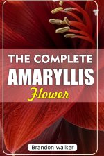 THE COMPLETE AMARYLLIS FLOWERS