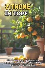 Zitrone im Topf