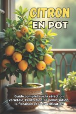 Citron en pot