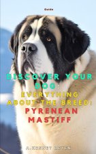 Discover your dog