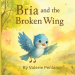 Bria and the Broken Wing