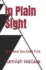 In Plain Sight