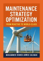 Maintenance Strategy Optimization