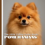 The Little Coffee Table Book