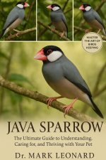 JAVA SPARROW
