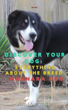 Discover your dog