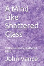 A Mind Like Shattered Glass