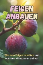 Feigen anbauen
