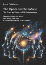 The Spark and the Infinite. The Origin and Reason of All Consciousness