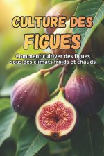 Culture des figues