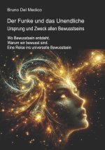 Der Funke und das Unendliche. Ursprung und Zweck allen Bewusstseins.