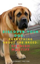 Discover your dog