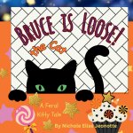 Bruce the Cat is Loose!