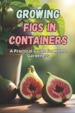 Growing Figs in Containers