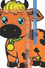 zildinha e o campo das cores