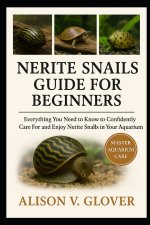 NERITE SNAILS GUIDE FOR BEGINNERS