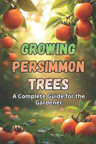 Growing Persimmon Trees