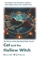 Cat and the Hollow Witch