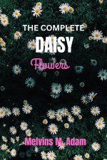 The complete daisy flower