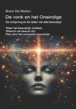 De vonk en het Oneindige. De oorsprong en de reden van alle bewustzijn