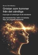 Gnistan som kommer från det oändliga. Ursprunget och anledningen till allt medvetande.
