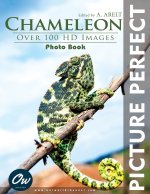 Chameleon