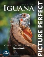 Iguana