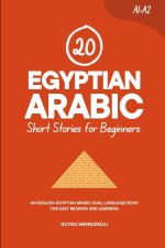 20 Egyptian Arabic Short Stories for Beginners